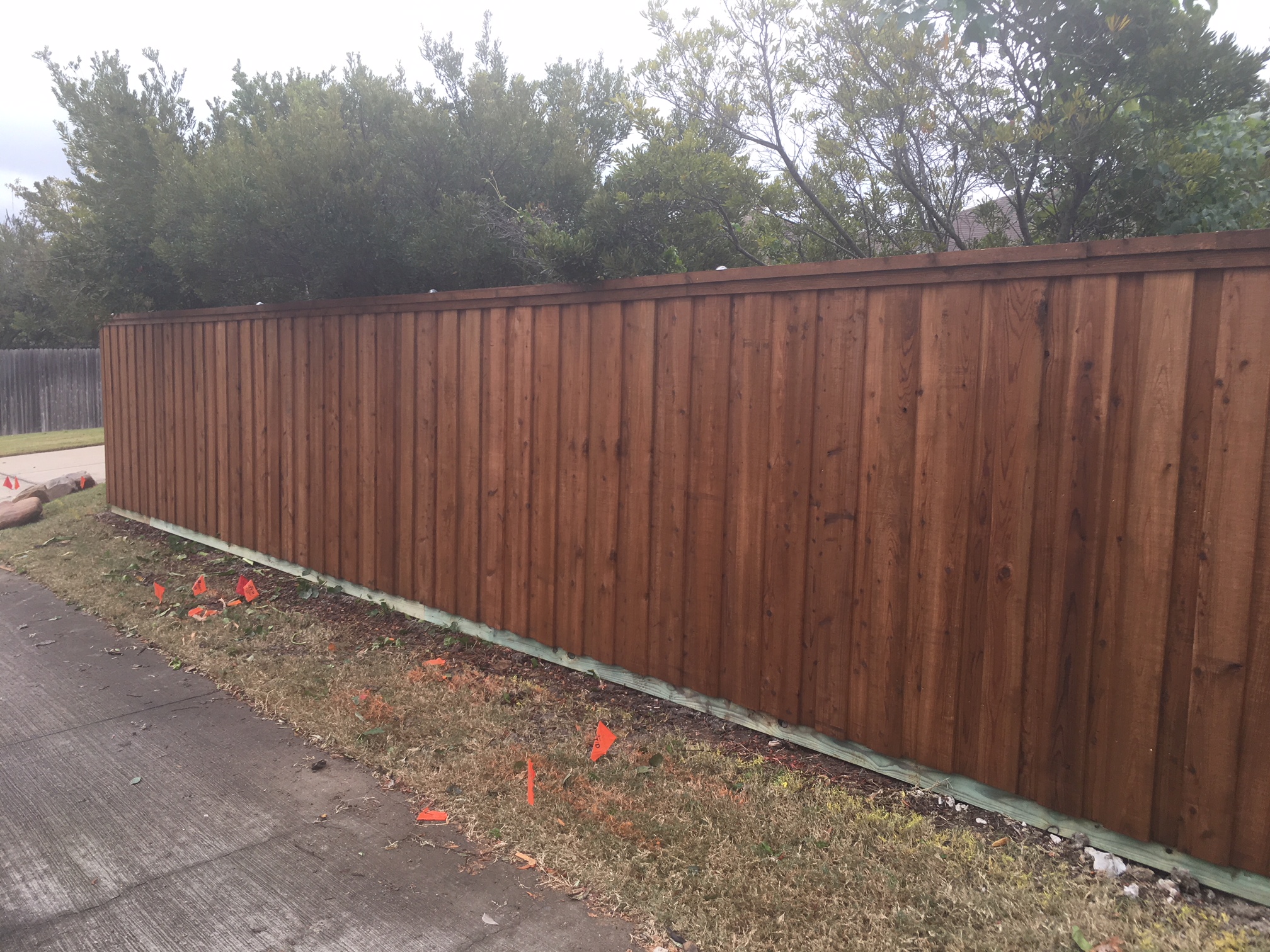 cedarfence1